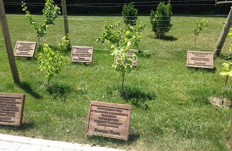 Slavy Vinodelov Alley