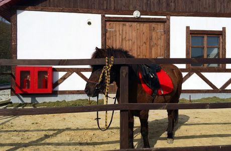 Horse-Riding School Abrau-Durso