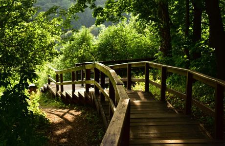 Nature Park Tsimlyanskiye Peski