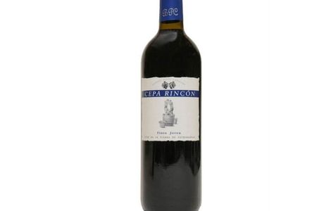 Tinto Wine Shop