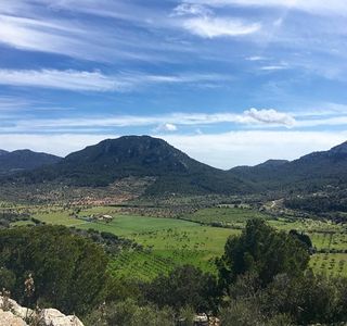 Mirador de Puig de Sa Moneda