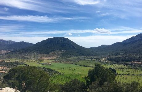 Mirador de Puig de Sa Moneda