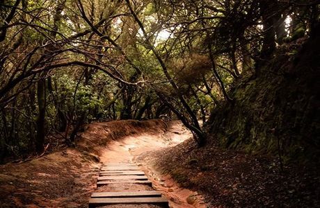 Parque Rural de Anaga