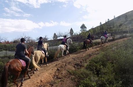 Horse Riding Tenerife