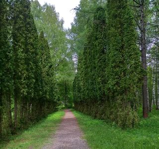 Arboretum Volga-Kama Biosphere Reserve