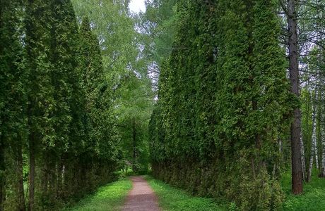 Arboretum Volga-Kama Biosphere Reserve