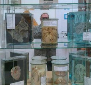 Museum of uyezdnoy meditsiny named after V. M. Bekhtereva