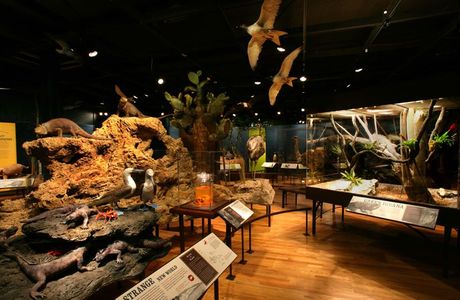 Geological Museum of Natural History