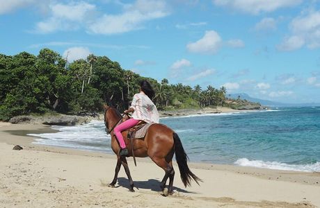 Sea Horse Ranch