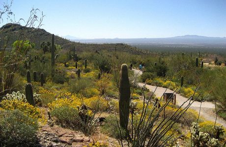 Arizona-Sonora Desert Museum