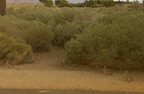 US-395 Division Creek Rest Stop