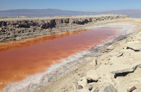Salton Sea
