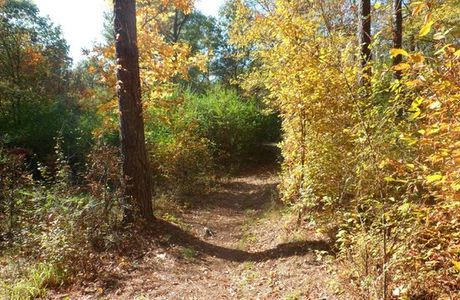 Cedar Glades