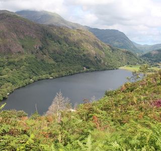 Craflwyn and Beddgelert