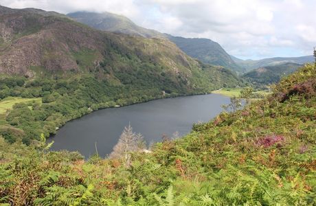 Craflwyn and Beddgelert