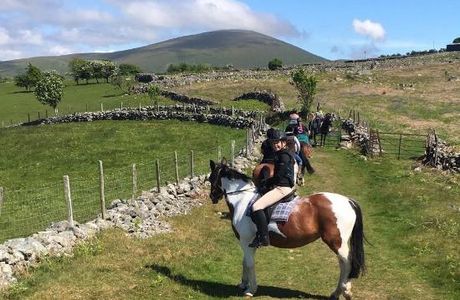 Snowdonia Riding Stables