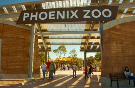 Phoenix Zoo