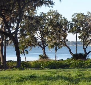 Sawgrass Island Preserve