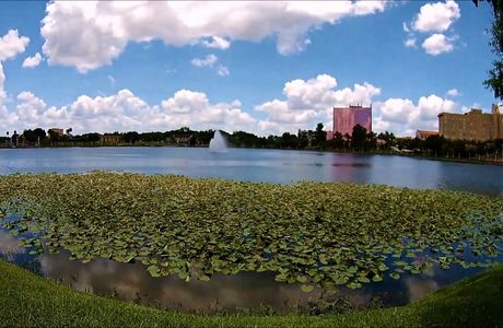 Lake Mirror