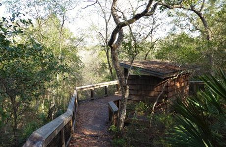 Lake Eaton Sinkhole Trail