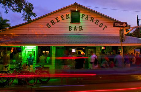 Green Parrot Bar