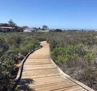 Elfin Forest Preserve