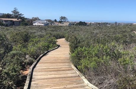 Elfin Forest Preserve