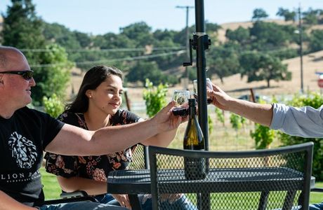 Lion Ranch Vineyards & Winery