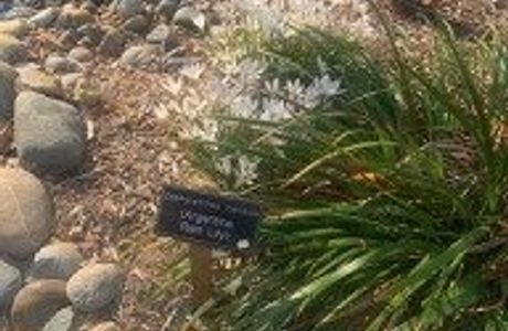 Sherwood Demonstration Garden