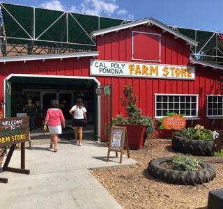 Farm Store at Kellogg Ranch