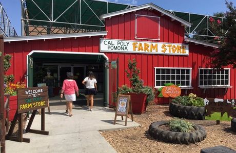 Farm Store at Kellogg Ranch