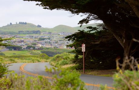 Bodega Head Ride