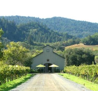 Amista Vineyards