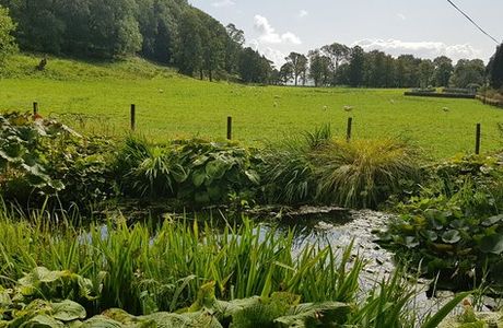Ardmaddy Castle Garden