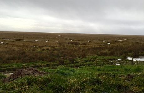 WWT Caerlaverock Wetland Centre