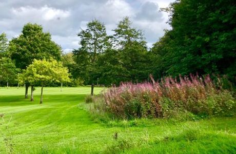 Calderglen Country Park