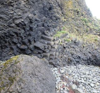 Ardtun Peninsula Leaf Beds