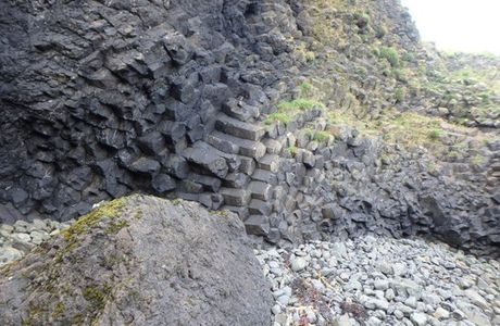 Ardtun Peninsula Leaf Beds