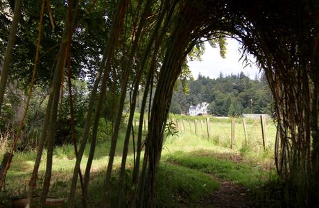 Logie Steading