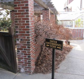 Wellesley College Greenhouses