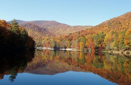 Vogel State Park