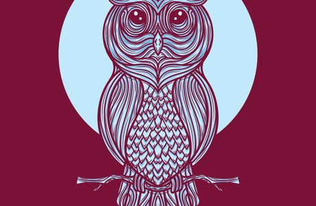 Night-owl Worldwide