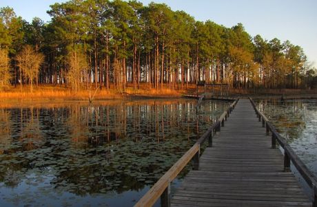 Lake Seminole Park