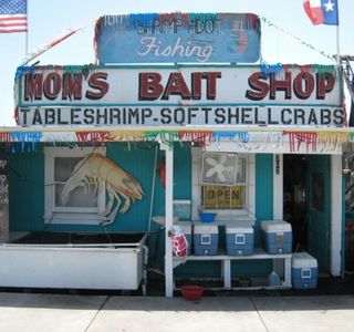 Gulf To Bay Bait & Tackle Shop