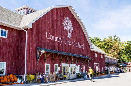 County Line Orchard