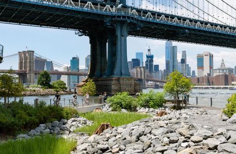Brooklyn Bridge Park