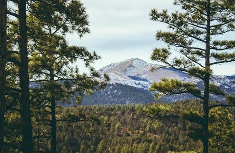 Lincoln National Forest