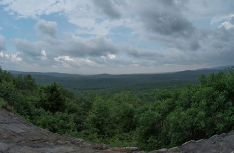 Wildcat Ridge Hawkwatch