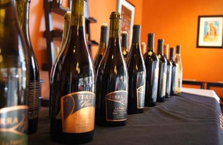 Terra Vina Wines