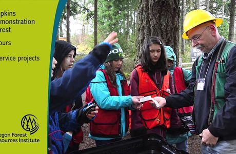 Hopkins Demonstration Forest